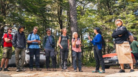 Alianza internacional posiciona Campus como actor clave para la conservación global de flora chilena