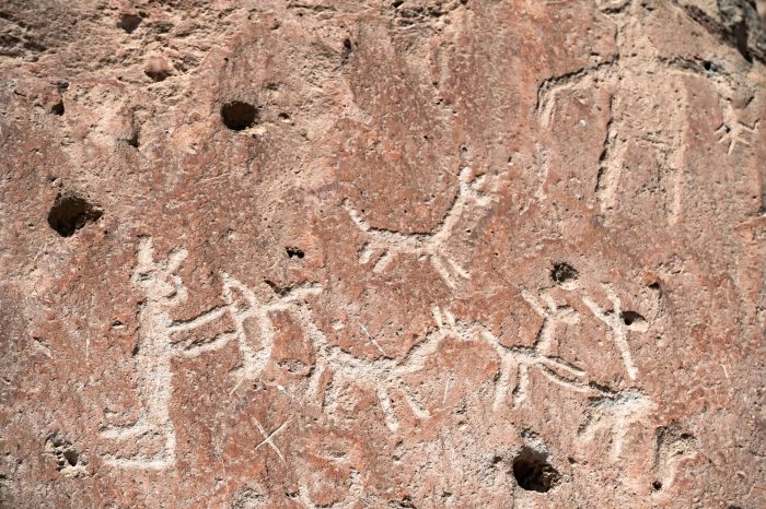 Lanzamiento de fotolibro sobre arte rupestre en Valle de Lluta