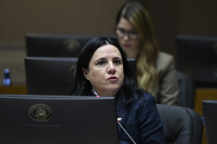 Steinert llama a "cerrar el tema" de salida de exsubprefecta PDI y descarta "historia amorosa"