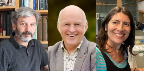 Neurociencia y cerebro protagonizan el Festival Puerto de Ideas Antofagasta 2026