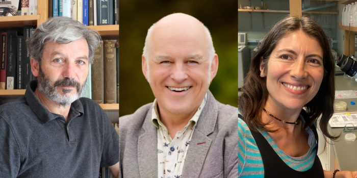 Neurociencia y cerebro protagonizan el Festival Puerto de Ideas Antofagasta 2026