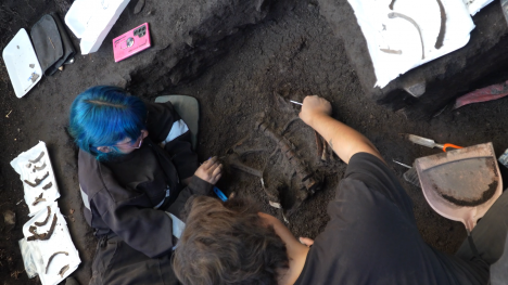 Hallan tres cuerpos de al menos unos cuatro mil años de antigüedad en San Vicente de Tagua Tagua