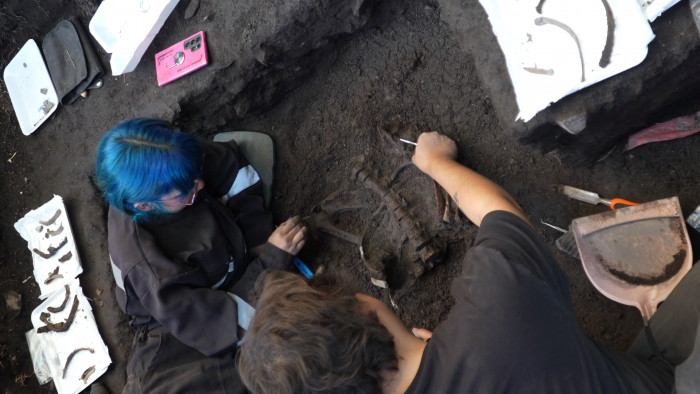 Hallan tres cuerpos de al menos unos cuatro mil años de antigüedad en San Vicente de Tagua Tagua