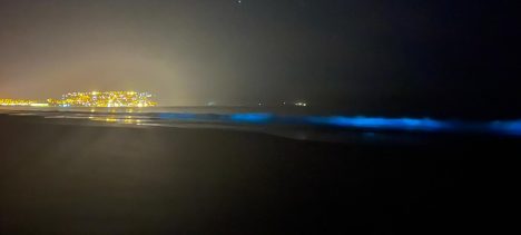 La costa de Guanaqueros sorprendió con fenómeno natural de bioluminiscencia