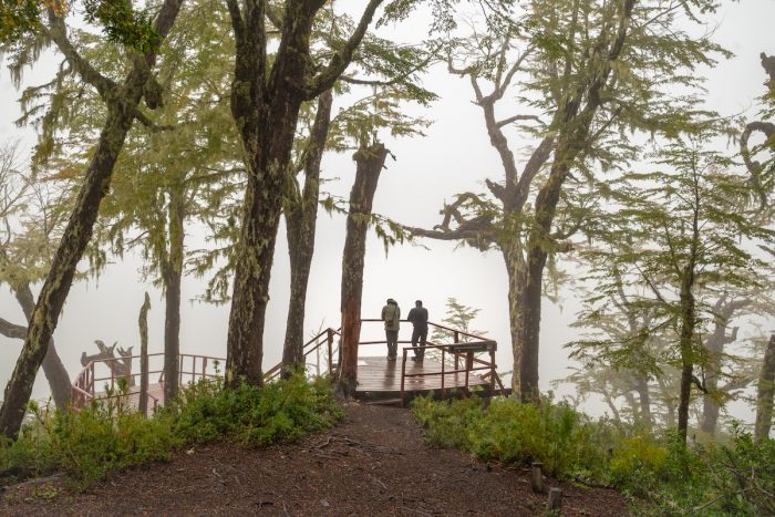Escapadas para reconectar: el otoño en Panguipulli Sietelagos invita a bajar el ritmo