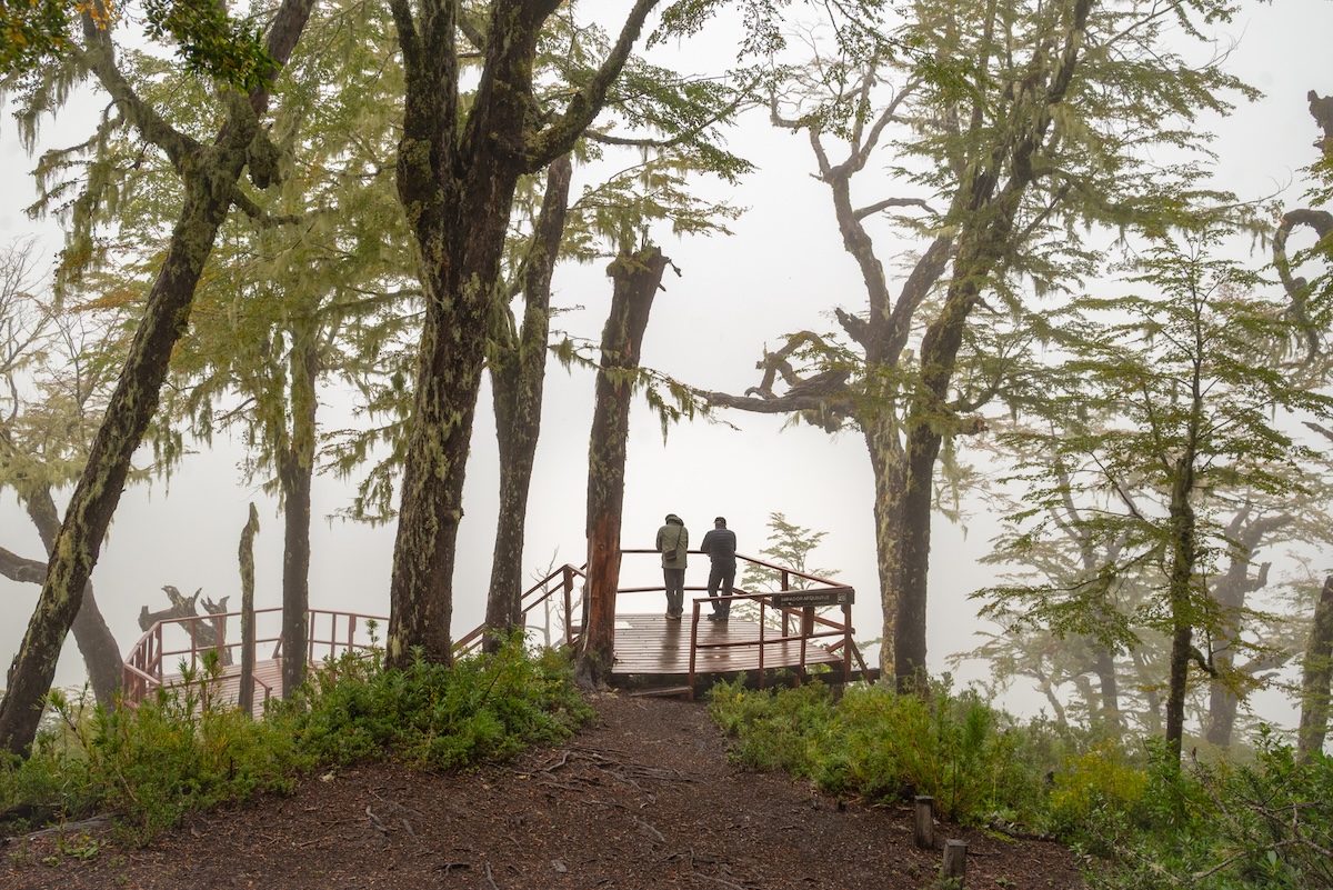 Escapadas para reconectar: el otoño en Panguipulli Sietelagos invita a bajar el ritmo