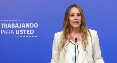 Sedini nuevamente se equivoca en una vocería: "Estamos trabajando contra la seguridad"