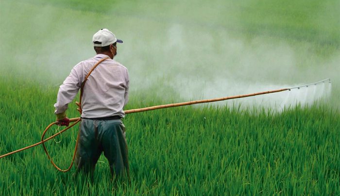 Ley de Fertilizantes: modernizar sin paralizar al agro