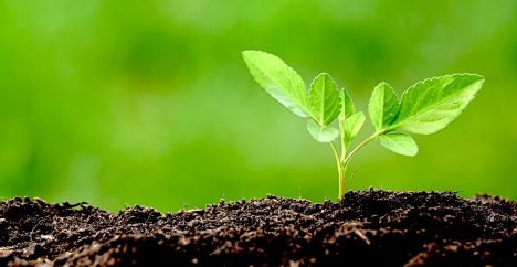 Salud laboral frente a un cambio climático que no espera