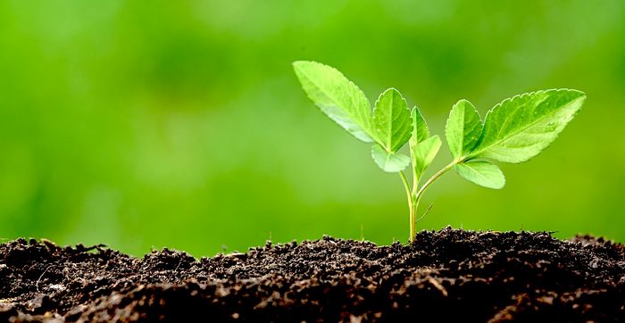 Salud laboral frente a un cambio climático que no espera