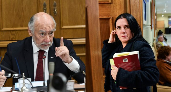 “No tiene atribuciones”: senador Flores advierte error de ministra Steinert en caso Lincolao