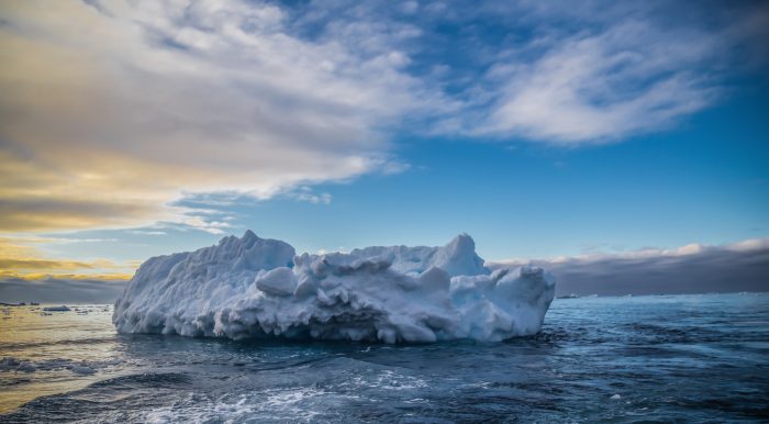 Rumbo a la Antártica: ciencia en uno de los mares más desafiantes del planeta