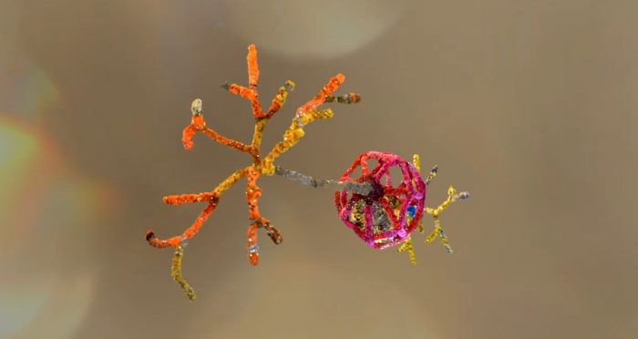 Impulsan nuevo proyecto audiovisual que busca comprender el autismo desde la ciencia