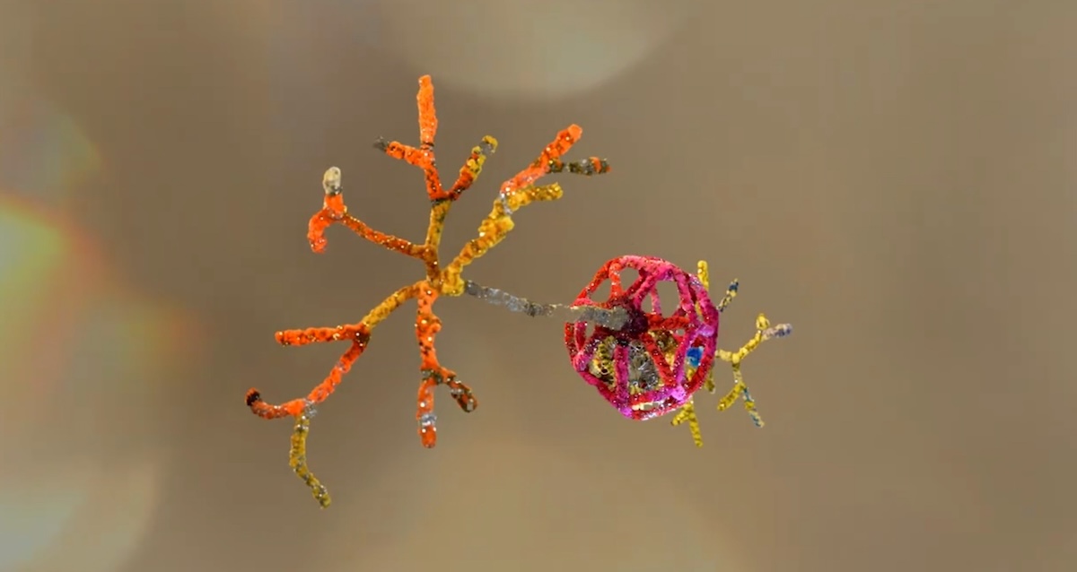 Impulsan nuevo proyecto audiovisual que busca comprender el autismo desde la ciencia