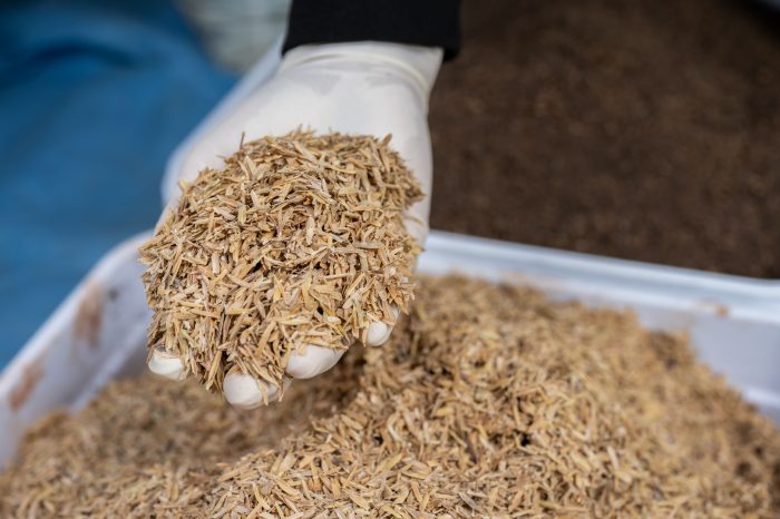 Proyecto busca convertir CO₂ en energía limpia a partir de residuos agrícolas