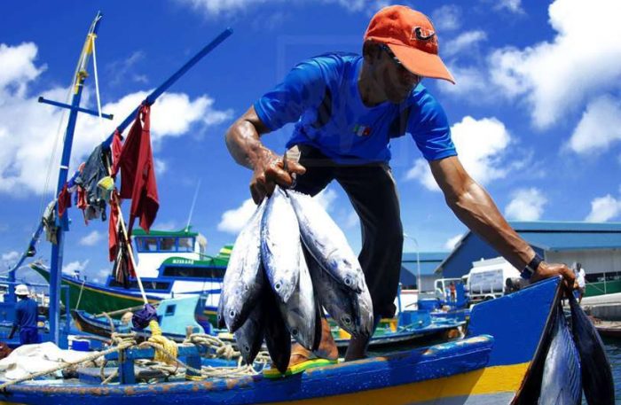 Pesca artesanal de Ñuble acusa “criminalización” en plena temporada