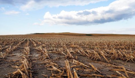 Investigación permite anticipar riesgos agrícolas ante eventos climáticos extremos