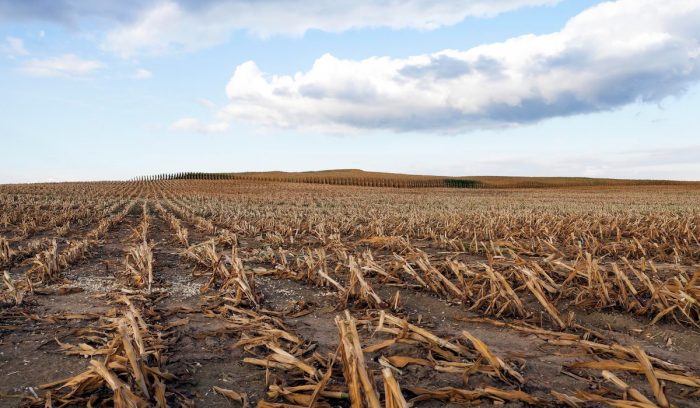Investigación permite anticipar riesgos agrícolas ante eventos climáticos extremos