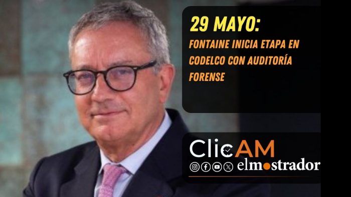 Auditoría forense en Codelco, Guzmán fuera de carrera y ruido interno por la reforma