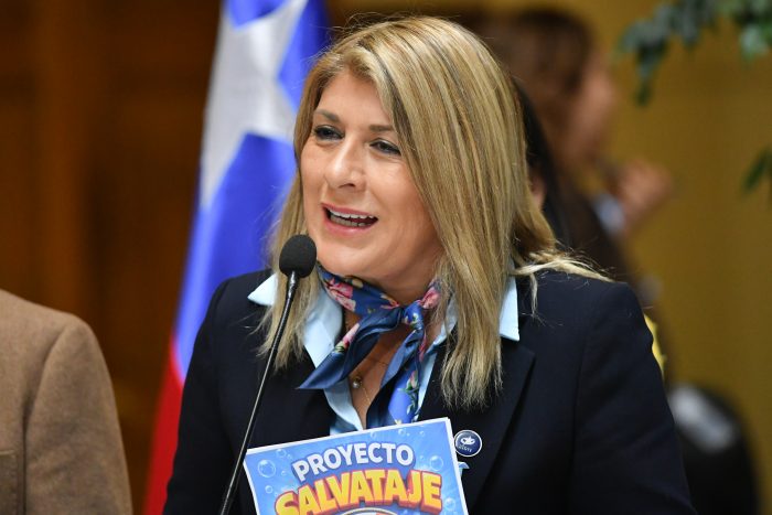 Diputada Parisi celebra diálogo con el Gobierno, pero advierte declaraciones “confusas” de ministros
