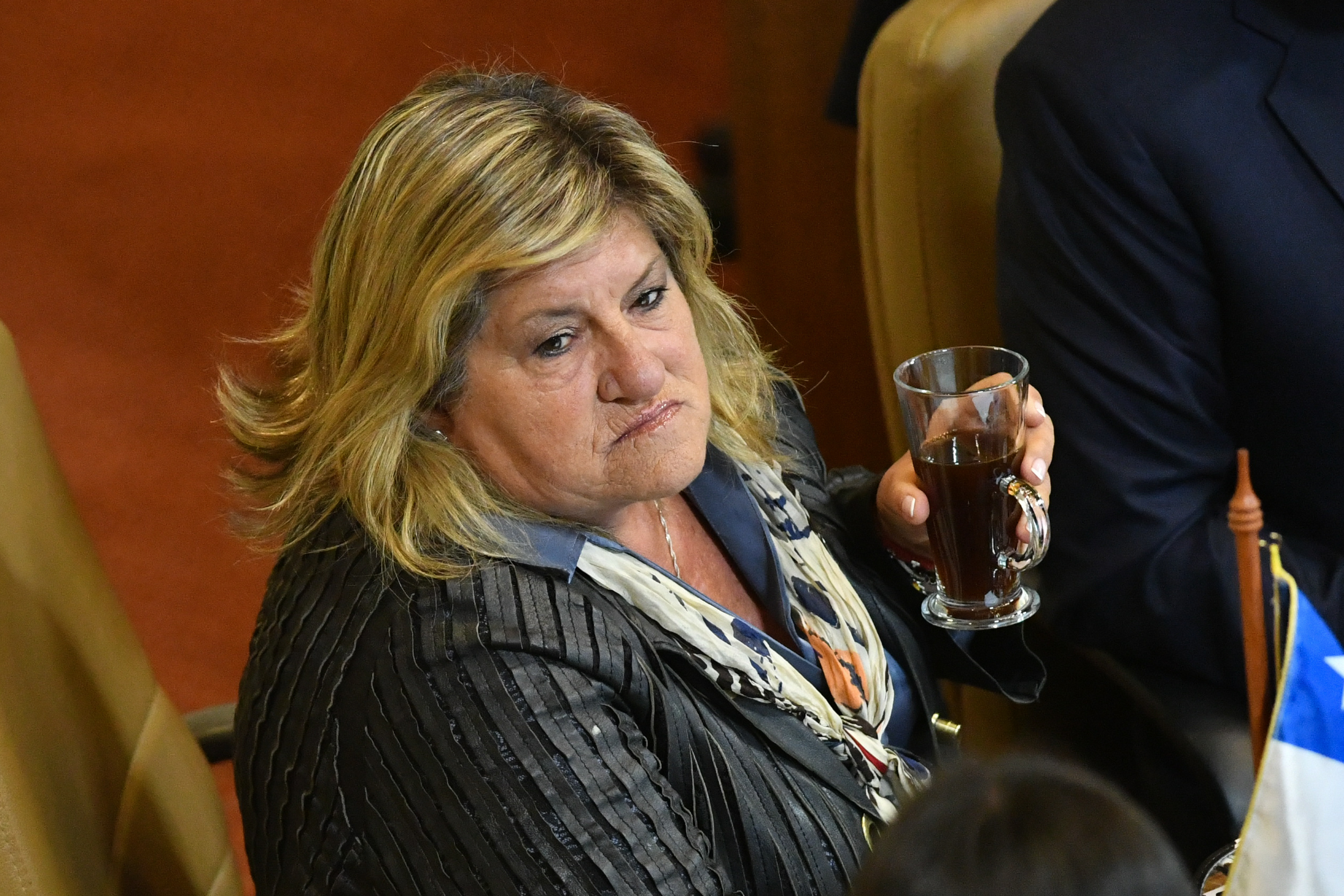 Diputada Naveillán (PNL): sin planificación en seguridad no se sabe “para dónde va la micro”