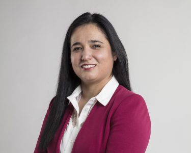 Ana Henríquez Orrego