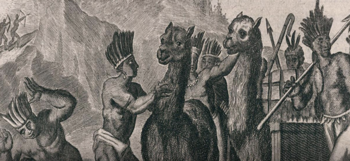 Charla online “La llama y el intercambio prehispánico de bienes en el norte de Chile”