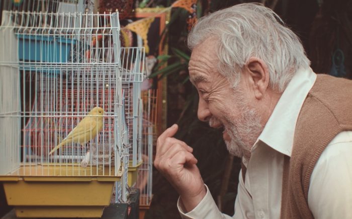 Silvio Caiozzi compite en CINELEBU con crítico cortometraje sobre la vejez