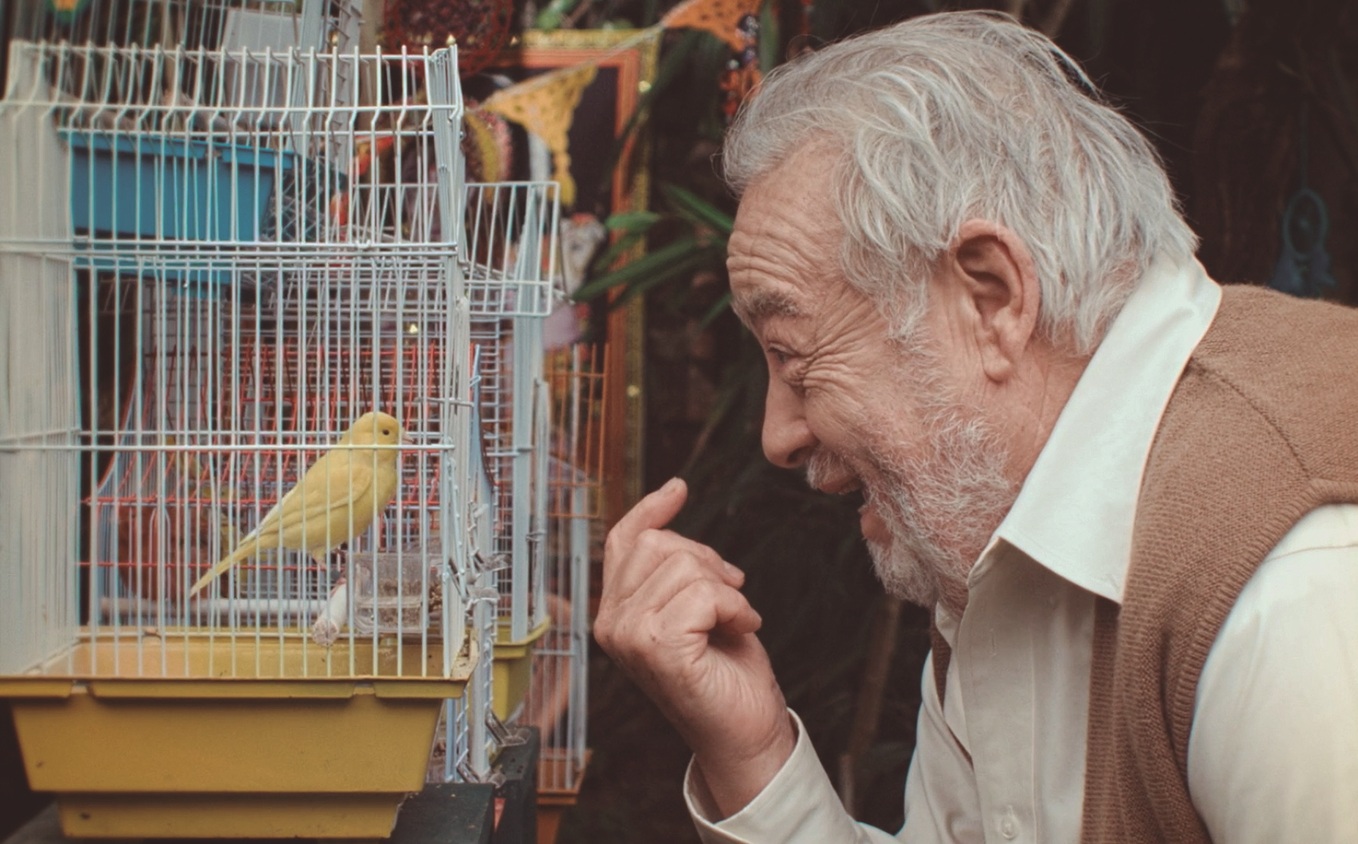 Silvio Caiozzi compite en CINELEBU con crítico cortometraje sobre la vejez