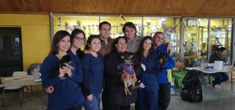 Evita multas: Lo que necesitas saber para vacunar a tu perro o gato gratis en San Pedro de la Paz