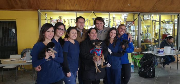 Evita multas: Lo que necesitas saber para vacunar a tu perro o gato gratis en San Pedro de la Paz