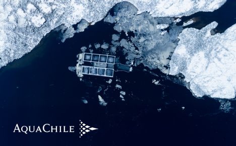 AquaChile mantiene liderazgo con sólidos márgenes
