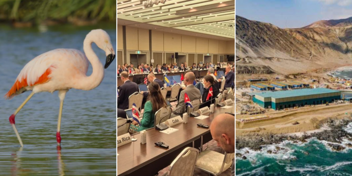 Futuro en marcha: flamencos en Algarrobo, científicos chilenos en cumbre japonesa y agua en minería