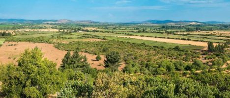 Nanotecnología para sembrar futuro a una agricultura bajo presión