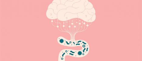 Niebla mental y microbiota: cómo la salud intestinal podría influir en la concentración y la memoria