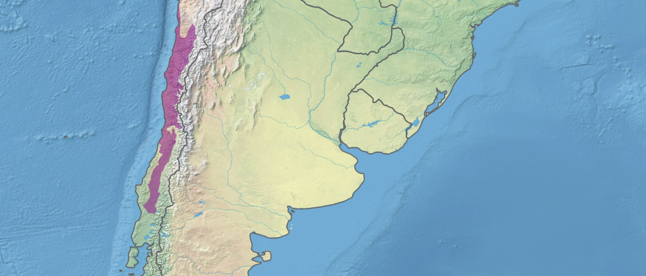 La importancia de restaurar la ecorregión mediterránea de Chile