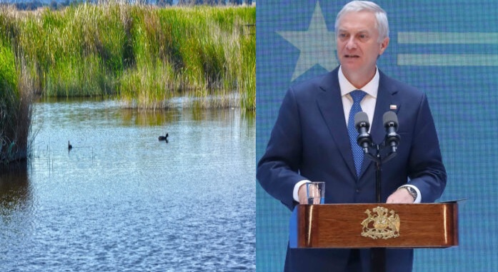 En defensa de los pirigüines