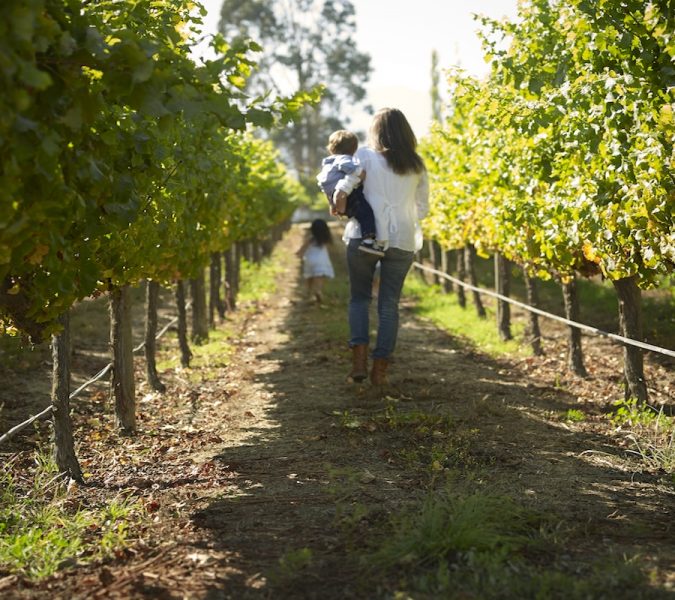 Día de la Madre entre viñedos: enoturismo para celebrar con historia, gastronomía y naturaleza