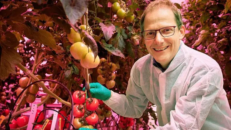 Países Bajos y la revolución “Food Valley” que lo hizo potencia alimentaria mundial
