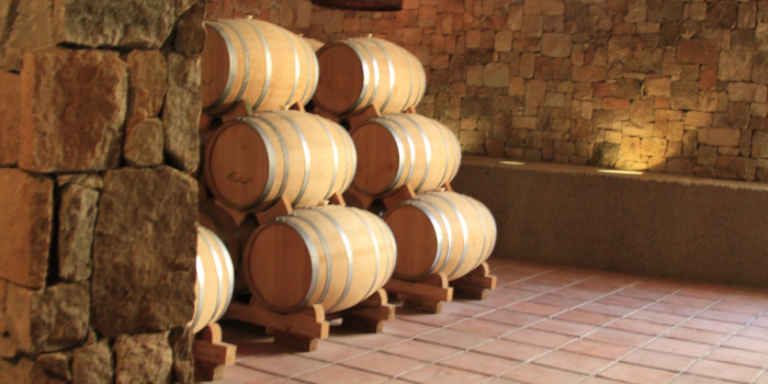 Pisco chileno fortalece presencia global con encuentro internacional en La Serena