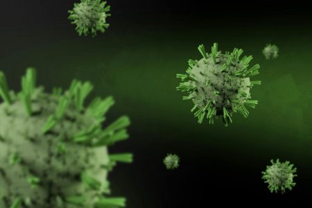 ¿Qué tanto sabemos del hantavirus?