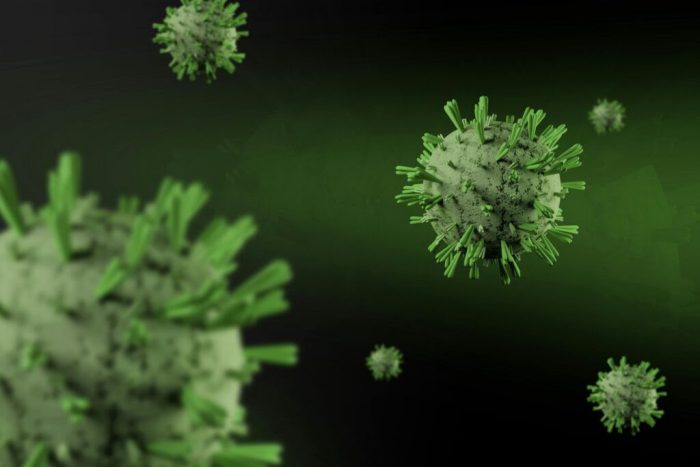 ¿Qué tanto sabemos del hantavirus?