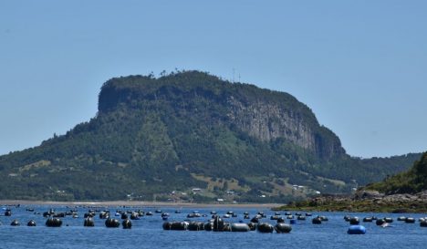 Proyecto para neutralizar CO₂ en Los Lagos abre controversia científica