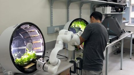 Científicos chilenos trabajan para que plantas se adapten a gravedad y “clima extremo” del espacio