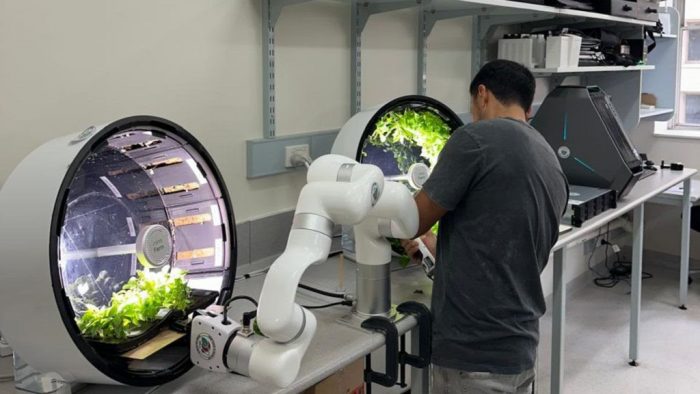 Científicos chilenos trabajan para que plantas se adapten a gravedad y “clima extremo” del espacio