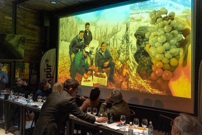 Chardonnay: la cepa que está contando la diversidad de los territorios de Chile