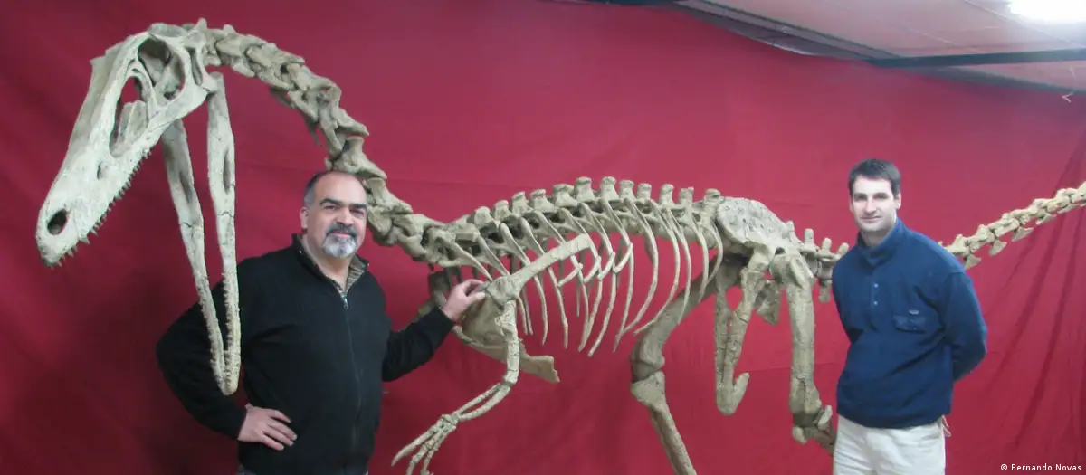 Los fascinantes hallazgos de dinosaurios en América del Sur