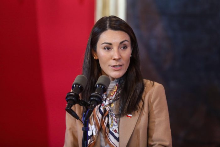 Gobierno toma distancia de fallo del TC y espera texto completo por Escuelas Protegidas