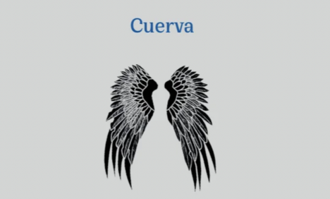 "Cuerva", el libro ilustrado de Milena Vodanovic que es fábula, viaje y transmutación