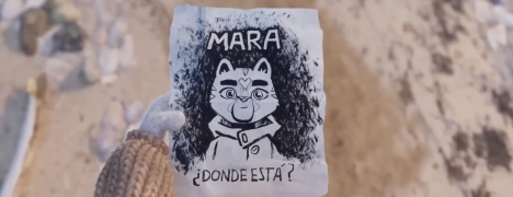 Busca a su mamá desaparecida:estreno mundial de 'Kona, una gata valiente', de chileno Gabriel Osorio